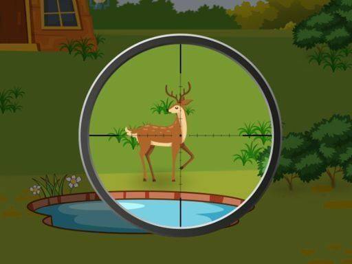 Forest Focus: 2D Wildlife Challenge