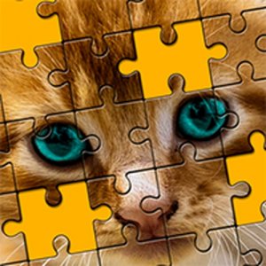Cats & Kitten Jigsaw Puzzle