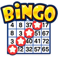 Bingo Solo Puzzle Game