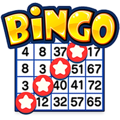 Bingo Solo Puzzle Game