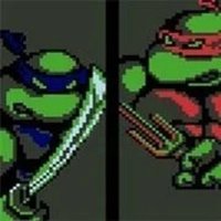 Hero Turtles NES Adventure