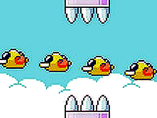 Grumpy Beaks Multi-Bird Flying