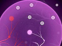 Axon Puzzle Game - Brain Training