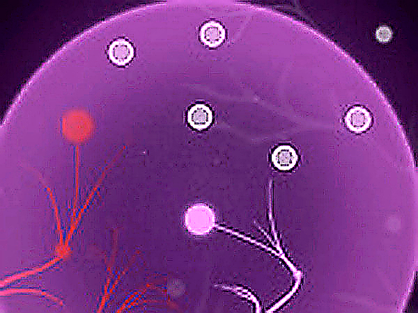 Axon Puzzle Game - Brain Training