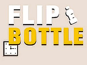 Flip Bottle Arcade Game