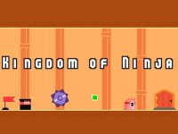 Ninja Kingdom Puzzle Adventure