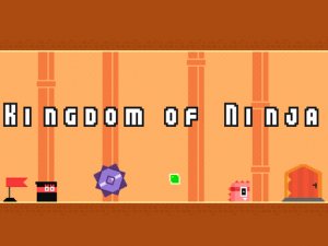 Ninja Kingdom Puzzle Adventure