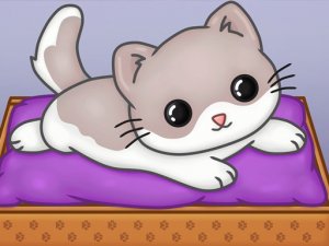 Pet Slide Puzzle